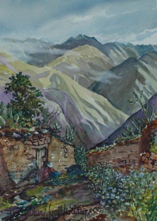 2012safromourdoorstep