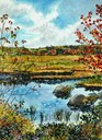 Autumn Pond near Liverpool