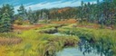 Autumn Marsh at Grand Greve