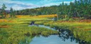 Autumn Marsh near Grand Greve