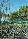 Beaver Dam