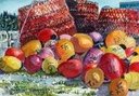Bingo Balls and Crab traps