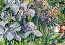 Blue Iris