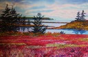 Blueberry Foliage near Spencer's Island