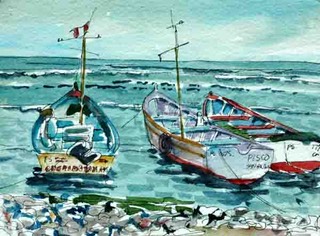 boatsinpisco29
