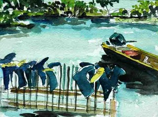 bootsandboatinjungle27