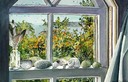Brigitte's Window(9)