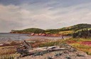 Economy Beach