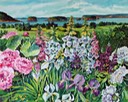 Flowers at Five Islands