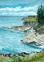Fox Harbour Ocean