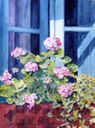 Geraniums and Ivy in Window version 3