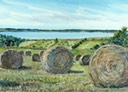 Hay Bales