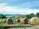 Hay Bales