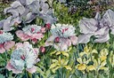 Iris and Peonies