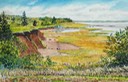 Low Tide