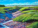 Our Marsh