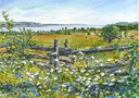Meadow & Fence