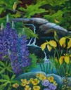 My Pond