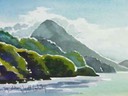 New Zealand 11