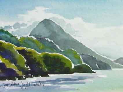 New Zealand 11