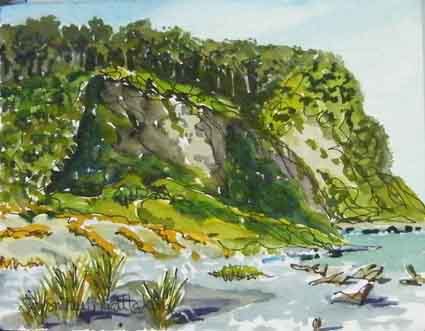 New Zealand 8