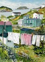 Newfoundland, Tors Cove