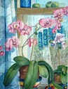 Orchids Two
