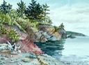 Partridge Island Looking West