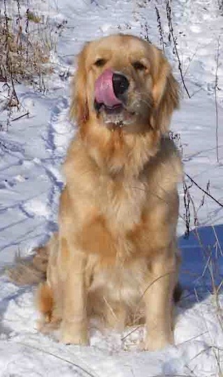 dec062007_011_textmedium