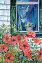 Poppies in Parrsboro