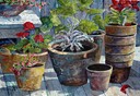 Pots