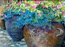 Pots with Pink and Blue Flowers