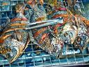 Thai Fish