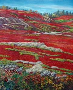ptg12blueberryfield1em