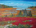 ptg12blueberryfield2em
