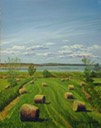 ptg2014haybalesem