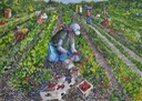 ptg20strawgerrypickers
