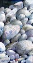 Rocks