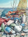 Sea Stuff