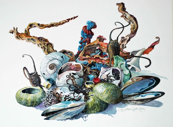Seastuff2013em