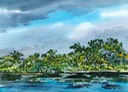 Sketch of the Pantanal