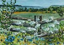 Field with Fence - Sketch