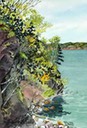 Spring Foliage on Long Island
