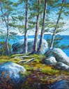 Rocks, Trees and Water, oil