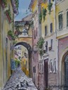 webptg17italyromealleywithpigeons