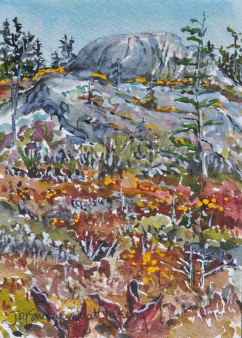 unnamed