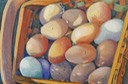 web16eggs