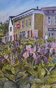 web17irisandlupinsinParrsboro2