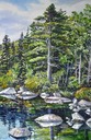 web18hobsonlakepinebestbest edited-1