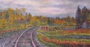 web2016autumntraintracksbest